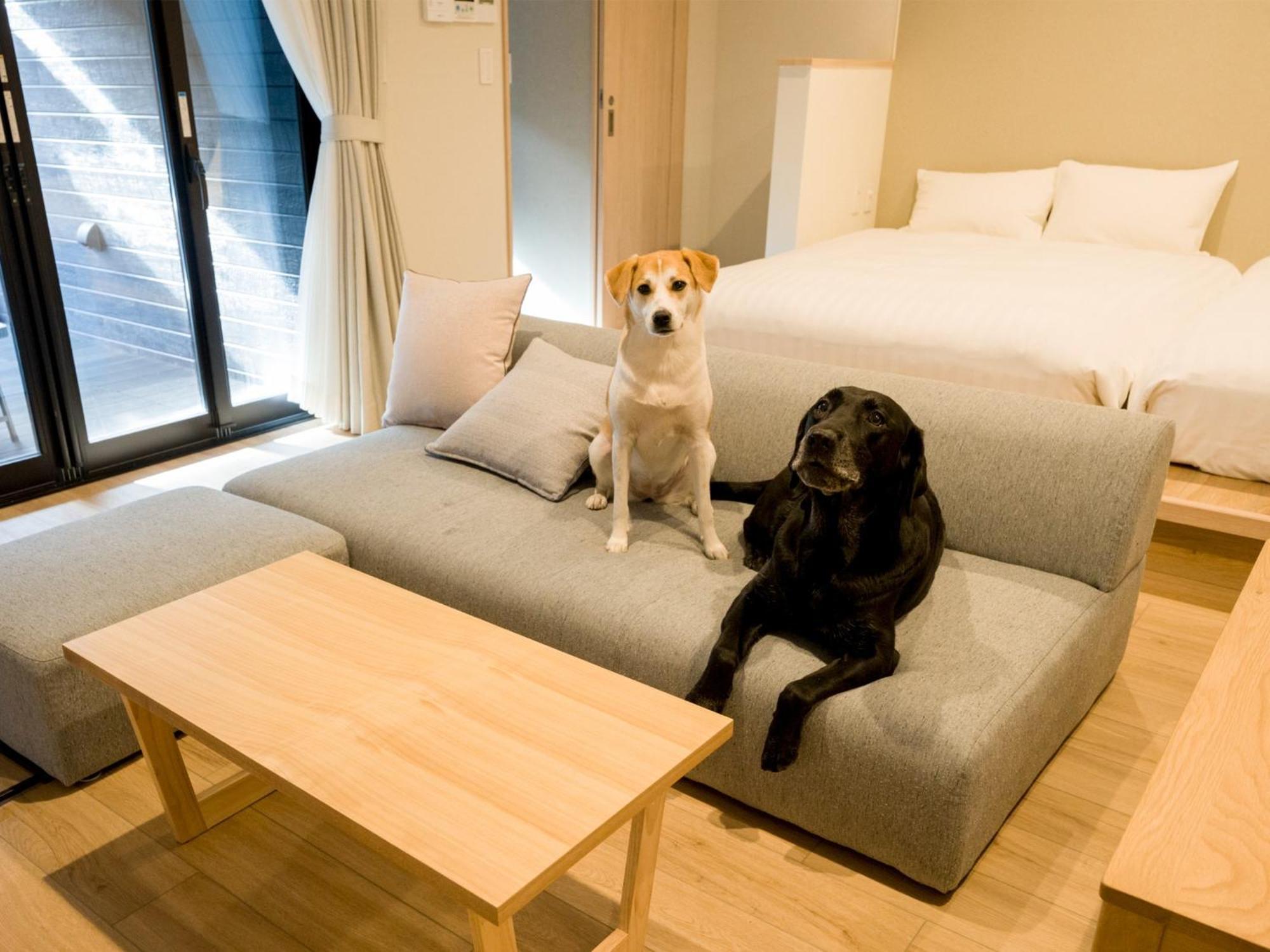 Rakuten Stay Nikko Hoden Capacity Of 8 Persons Esterno foto